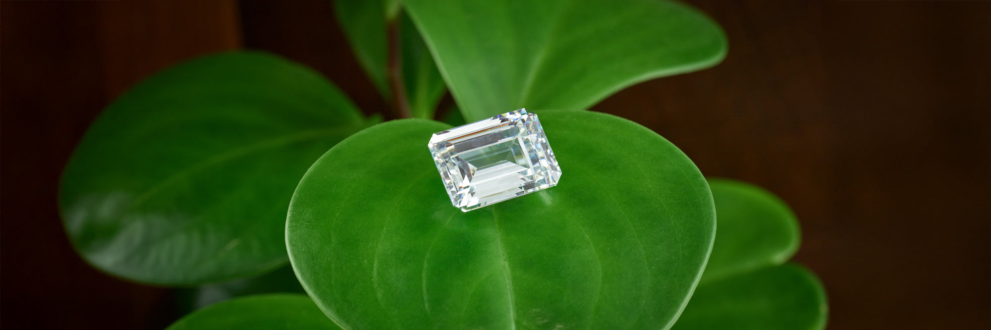 Why Natural Diamonds Are The Real Thing