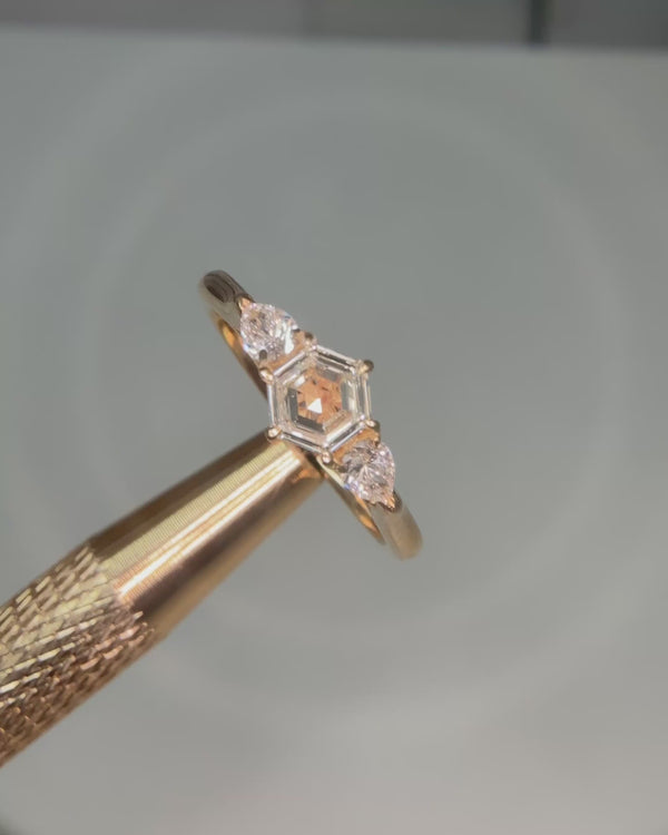 Hexagon Cut Diamond Kathryn Rin